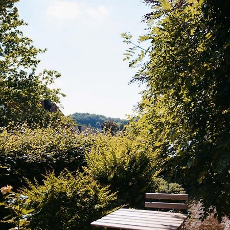 Ferienwohnung Kurpark Brilon Am Rothaarsteig エクステリア 写真