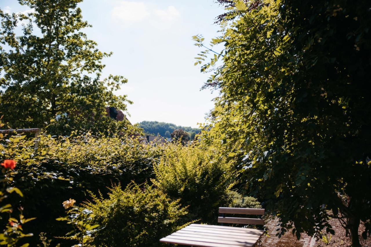 Ferienwohnung Kurpark Brilon Am Rothaarsteig エクステリア 写真